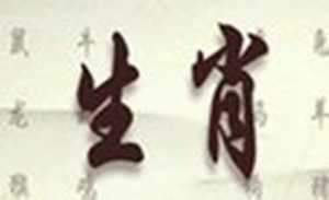 十二生肖圆形图片