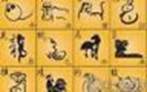 狗咬猪打一生肖(狗咬猪是什么生肖)