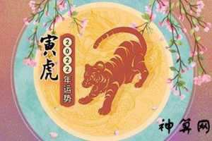 本命年运势好吗(本命年运势测算)