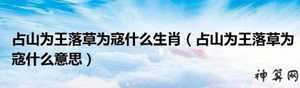 寇代表什么生肖(落草为寇代表什么生肖)