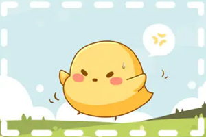 冲鸡煞西是什么意思(冲鸡煞西是什么意思是什么)