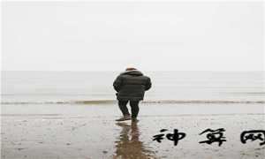 生肖狗一辈子的贵人是谁(属狗人最旺的贵人是什么生肖)