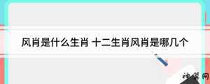 2017那几个生肖是风肖(2017那几个生肖是风肖呢)