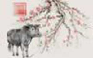 73年出生的今年财运好不好(73年出生的今年财运好不好呢)