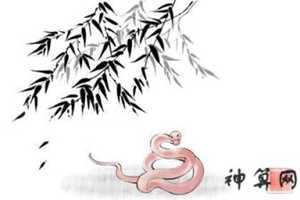 最意误入歧途的生肖(容易误入歧途的生肖)