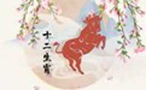 属牛女适合做什么生意(属牛女适合做什么生意能发财)