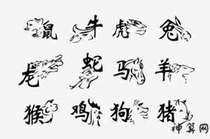 看鉴12生肖(看十二生肖)