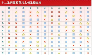 婚姻属相配对大全可靠吗(婚姻属相配对大全很准)