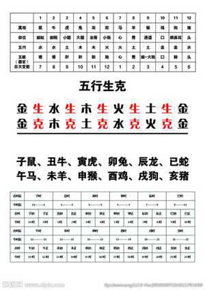 2018生肖五行属资料(2018年生肖五行)
