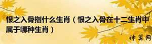 招人恨是什么生肖生肖(招人恨指什么动物)