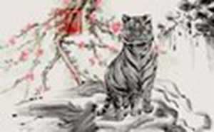 2022年属虎的命运怎么样(2022年属虎的命运怎么样女的)