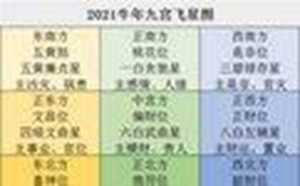 玄空飞星排盘免费版下载软件(玄空飞星排盘)
