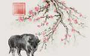 2022年属牛终于转运了(2022年属牛终于转运了麦玲玲)