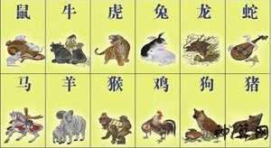 属相的风水财运(属相的风水财运如何)