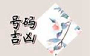 数理吉数科学吗(数理吉是什么意思)