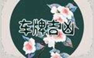 选号吉祥号有多少(选号吉祥号有多少个数字)