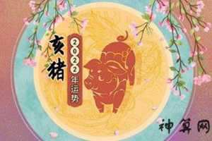 生肖猪2022年的运势及运程(生肖猪2023年运势及运程详解)
