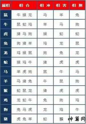 凶猛的生肖是什么(极度凶猛的生肖是什么)