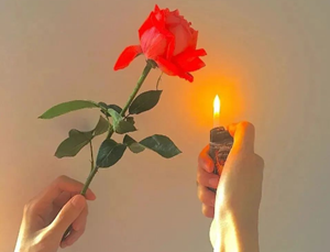 十二星座女暗恋对象排名-神算网(十二星座女暗恋的星座)