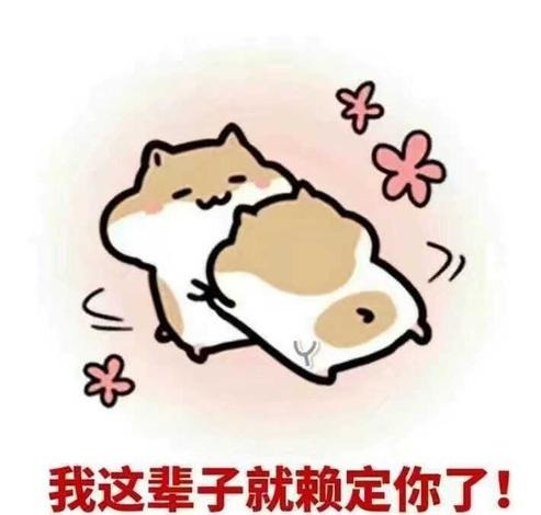金牛女太可爱了戏很多、金牛女是个很神奇的存在-神算网(金牛女可爱吗招人喜欢吗好看吗)