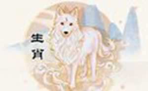 属狗人2022年事业官运和财运运势详细点评-神算网(属狗人2021年事业运势)