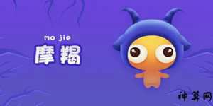 星座为什么只研究摩羯(摩羯座什么排第一名)