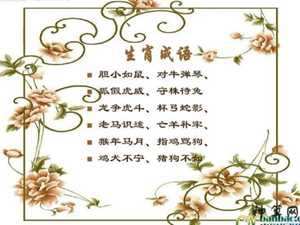 名言代表什么生肖(至理名言代表什么生肖)