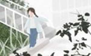 2014年属马运势及运程(2014年属马运势及运程详解)