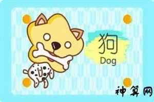 生肖狗2017年8月运势(生肖狗2013年运势大全)