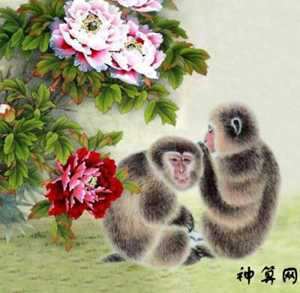 属猴这7月的运势如何(属猴这7月的运势如何呢)
