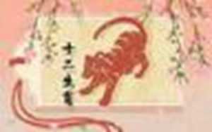 1986年属虎晚年凄苦(1986年属虎晚年凄苦男)