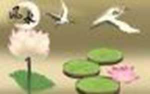 免费算命本年财运(免费算命今年财运)