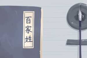 招财树放在哪里最旺财(招财树放在哪里最旺财图片)