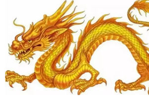五花八门是什么生肖(五花八门是什么生肖)