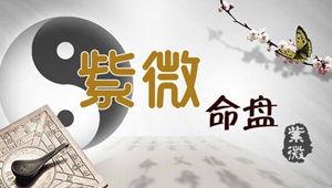 如何看懂紫微斗数命盘(如何看懂紫微斗数命盘)