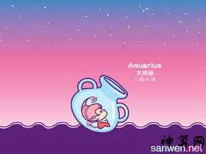 水瓶一2017年运势