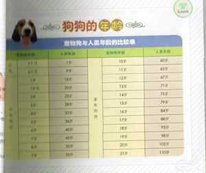 生肖狗年龄对照表2022(生肖狗年龄对照表2022图片)