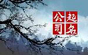 82年属狗五行属水的公司取名(82年属狗五行属水公司名字)