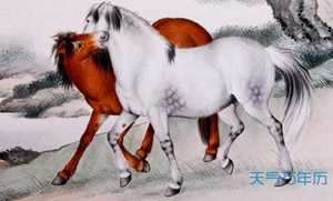 爱干净打一生肖是什么生肖(爱干净指什么生肖)