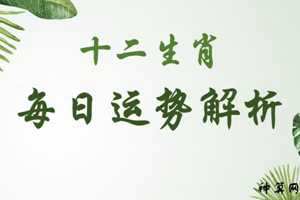 阳历七月生肖运势如何(阳历七月生肖运势如何呢)