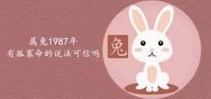 1962的兔是属什么生肖(1962的兔是属什么生肖的)