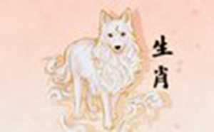 属鸡男和属狗女婚姻好不好(男属鸡和女狗的婚姻怎么样)