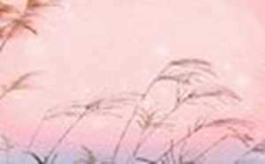 星座这颜值排行第几(座颜值排名)