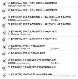 快手网红卖衣服淘宝店铺叫什么名字大全(快手网红卖衣服淘宝店铺叫什么名字大全好听)