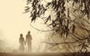 结婚纪念日过阴历还是阳历(结婚纪念日过阴历还是阳历好)
