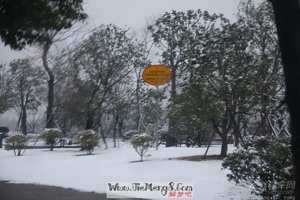 做梦梦见六月下雪什么意思(做梦梦见六月下雪)
