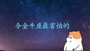 金牛座优点缺点有哪些(金牛座优点)
