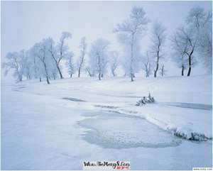 做梦梦到雪地捡钱好不好(做梦梦到雪地捡钱)