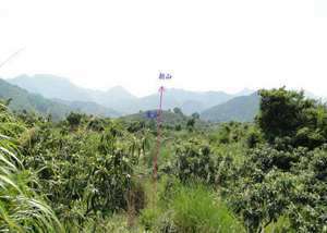 阴宅前面案山多远为吉(阴风水前案后山是怎么回事)
