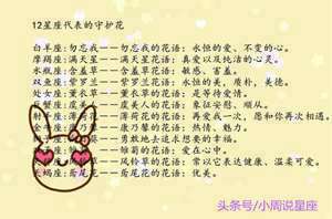 12星座 公主 礼服连衣裙(12星座守护花以及花语)
